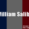 ウィリアム・サリバのプレースタイル