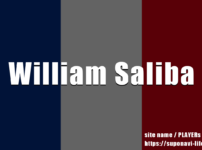 ウィリアム・サリバのプレースタイル